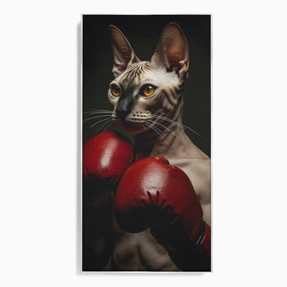 Tablou canvas cu tablou canvas cu motan sphynx boxer, in rama de aluminiu argintiu